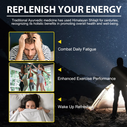 🌿 SHILAJIT NATUREL