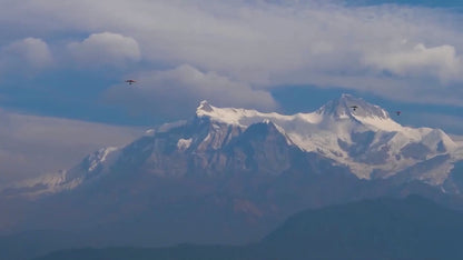 🌿 SHILAJIT NATUREL